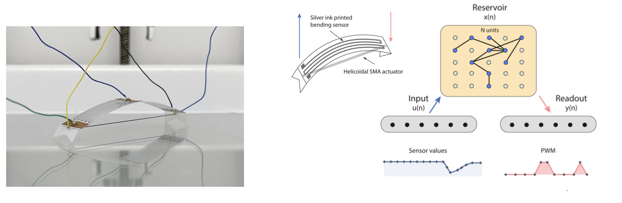 Echo State Network for Soft Actuator Control